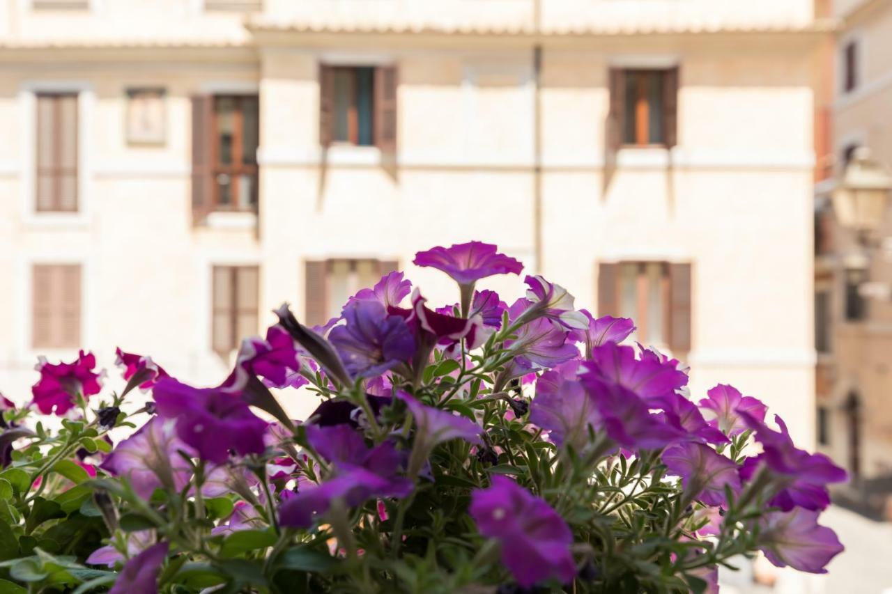 Buongiorno Colosseo Рим Экстерьер фото